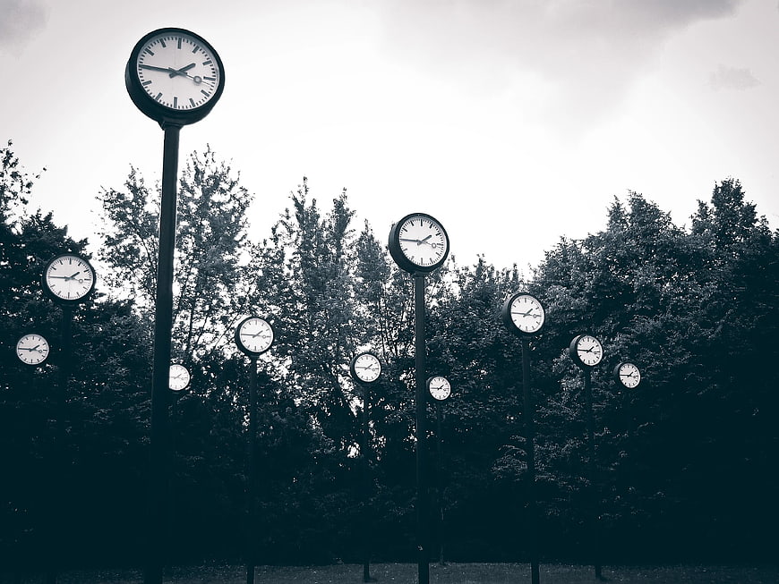 Black and White Clocks in a Forest