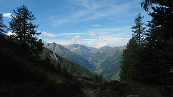 Scenic Alpine Mountain Valley View with Pine Trees
