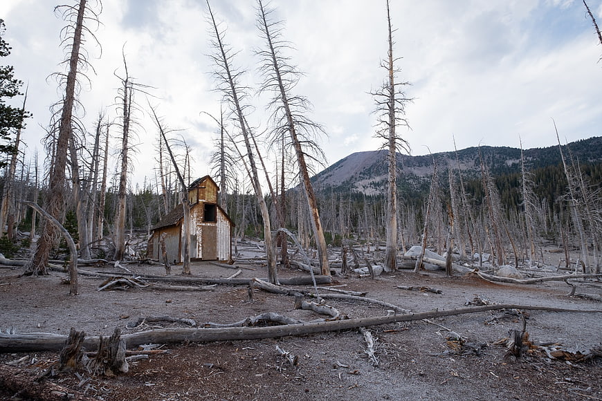 Abandoned wooden cabin in a burnt forest landscape