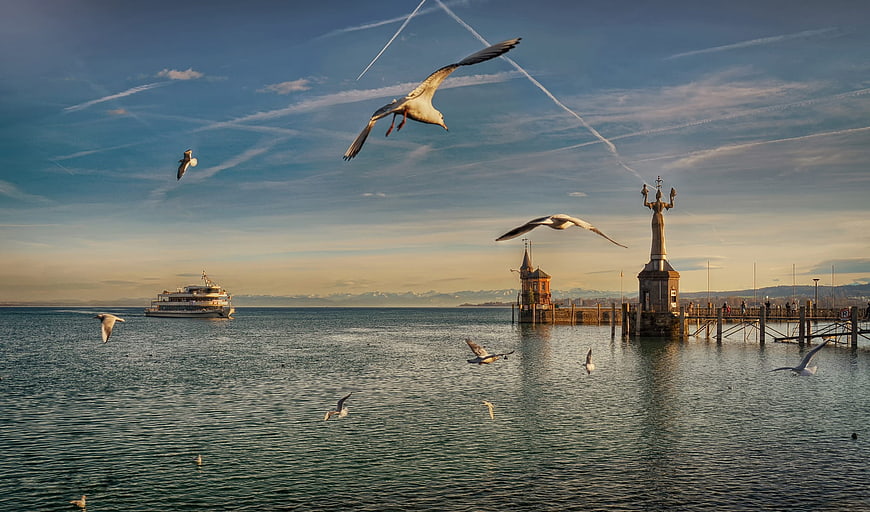 Seagulls Flying Over Lake Constance Pier at Sunset