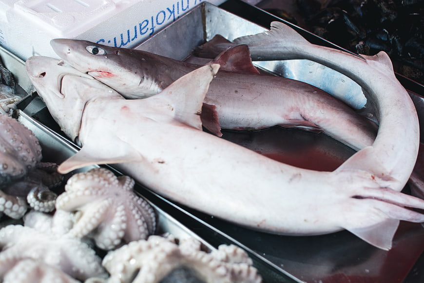 Raw sharks and octopus displayed at a fish market
