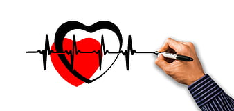 Hand drawing heart with pulse line on white background