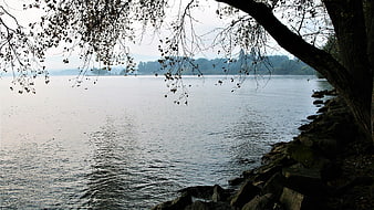 Serene Lake View Through Silhouetted Autumn Tree Branches