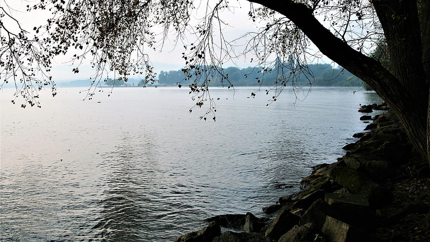 Serene Lake View Through Silhouetted Autumn Tree Branches