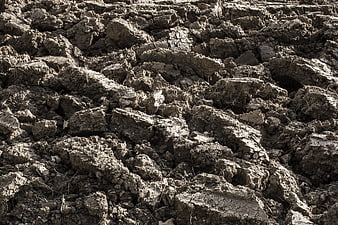 Close-up texture of dry cracked agricultural soil