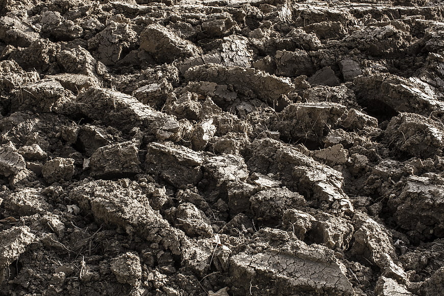 Close-up texture of dry cracked agricultural soil