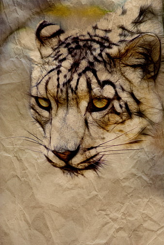 Snow Leopard Portrait on Crumpled Paper Texture