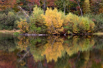 Autumn foliage reflection in calm lake water