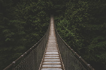 Suspenseful View of Wooden Suspension Bridge in Dark Forest