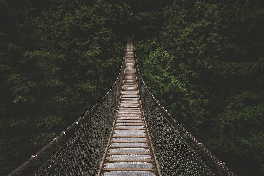 Suspenseful View of Wooden Suspension Bridge in Dark Forest