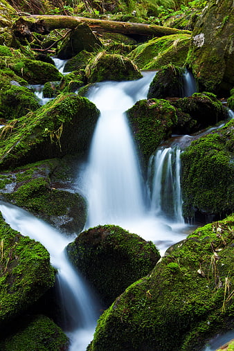 Mossy Forest Waterfall With Smooth Long Exposure Flow