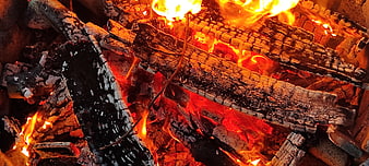 Close-up of burning logs and glowing embers in a fire