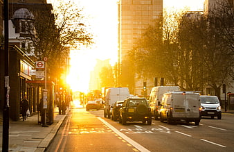 Golden Hour Traffic on London Street with Bus Stop