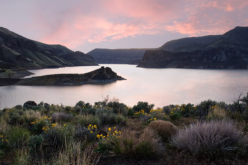 Serene Lake Landscape with Pink Sunset Sky and Foreground Wildflowers