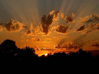 Dramatic Sunset with Sun Rays and Silhouetted Trees