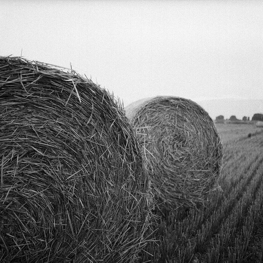 Black and White Hay Bales in Harvested Field
