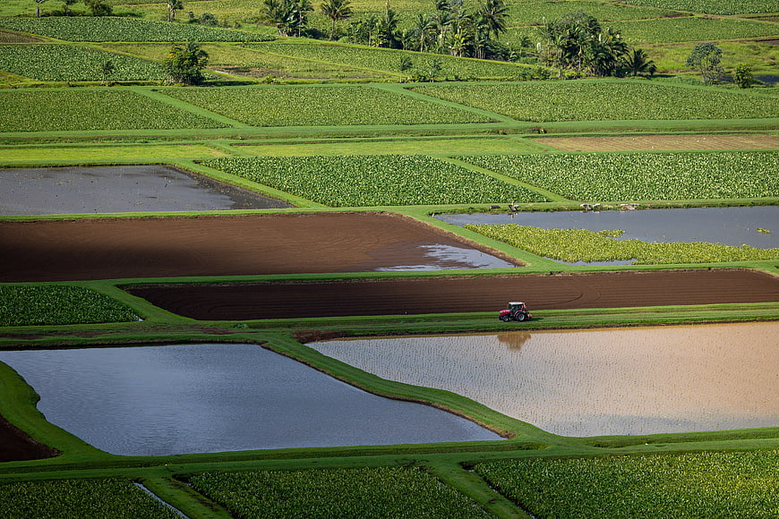 Aerial view of lush green rice terraces with tractor