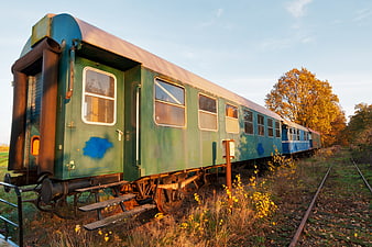 Abandoned vintage green train car on overgrown tracks in autumn