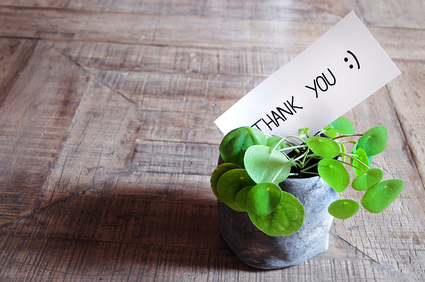 Small Potted Plant With Thank You Note On Rustic Wooden Table