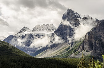 Majestic Rocky Mountain Peaks with Mist and Forest
