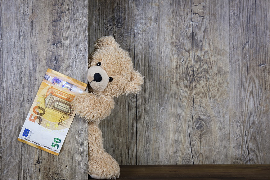 Teddy bear holding 50 euro banknote on rustic wooden background