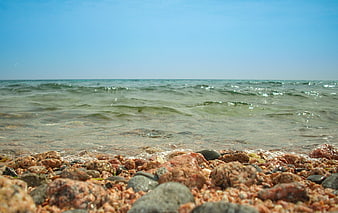 Low angle view of rocky Red Sea coast with clear water