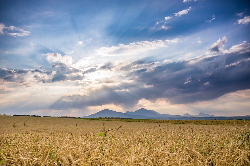Golden Wheat Field with Dramatic Sunbeams and Distant Mountains