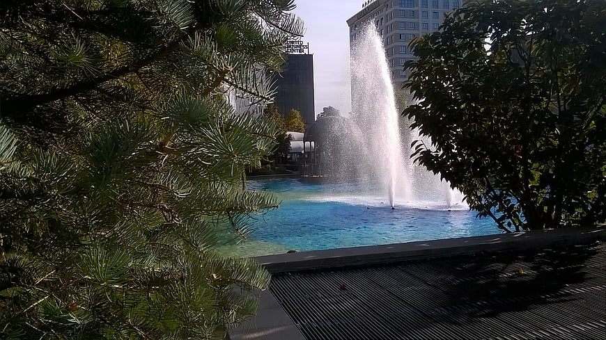 Urban Resort Pool with Fountain and Pine Trees
