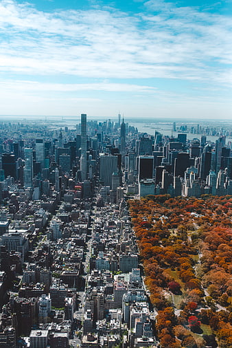 Aerial View of New York City Skyline and Central Park in Autumn