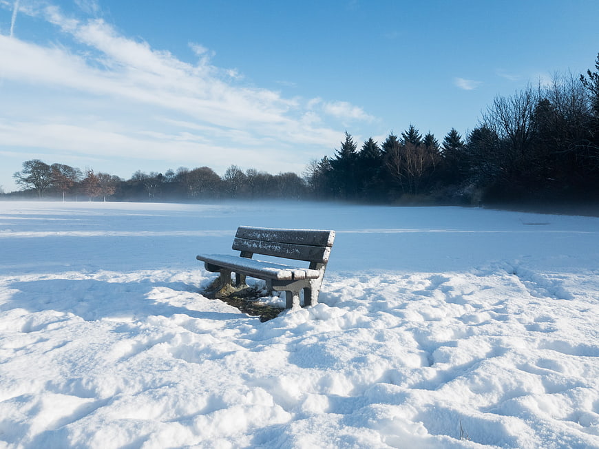 Lonely wooden bench in snowy winter landscape