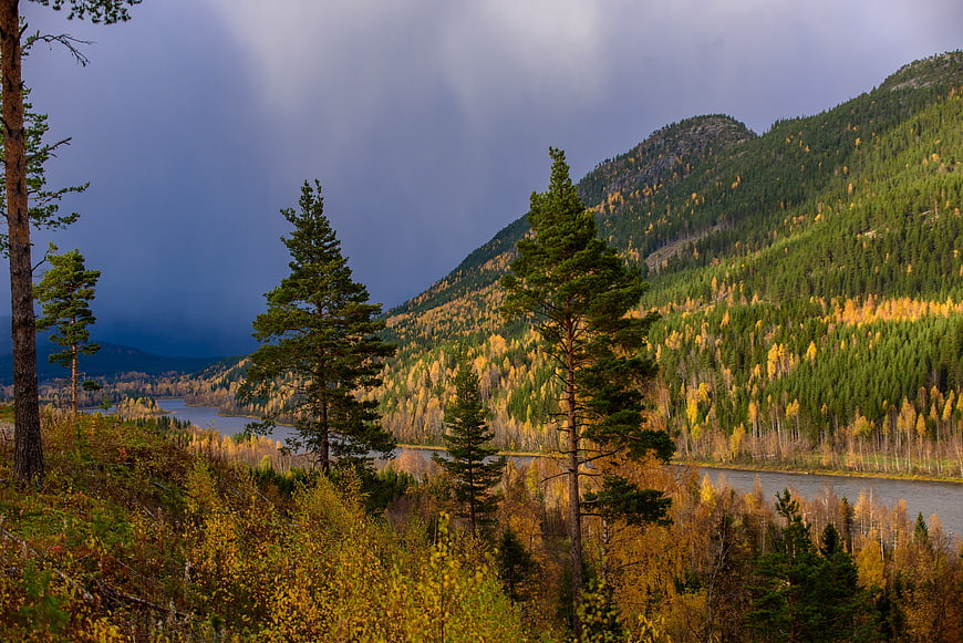 Dramatic Autumn Landscape with River and Forested Mountains