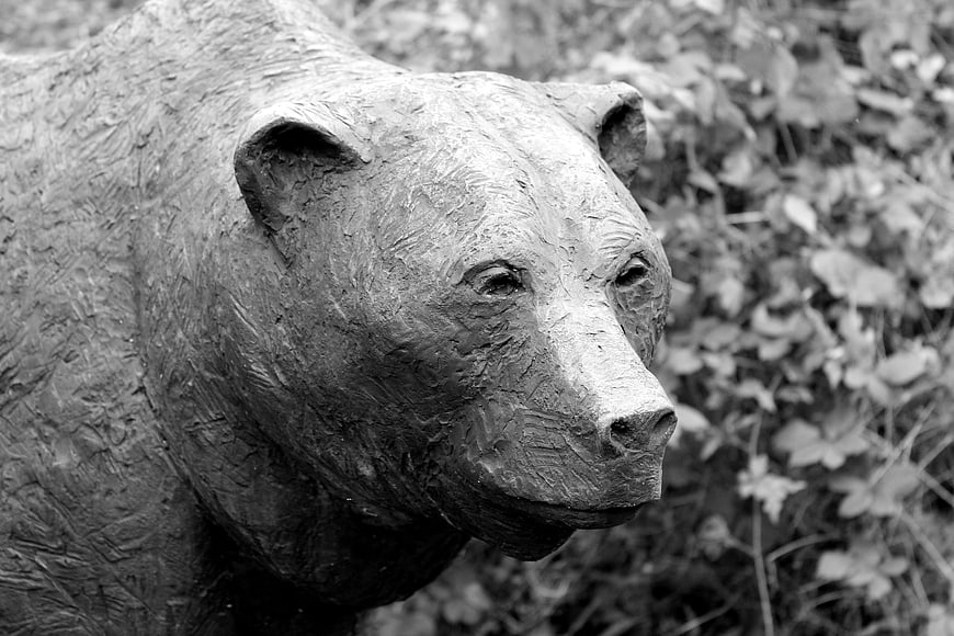 Black and White Sculpture of a Bear Head in Nature