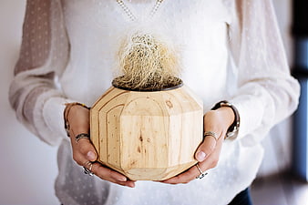 Woman holding geometric wooden vase with air plant