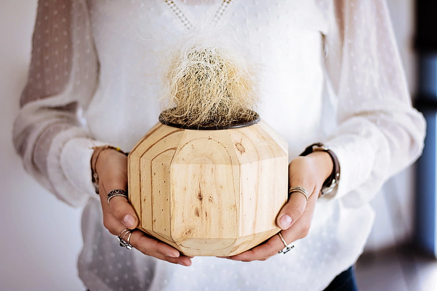 Woman holding geometric wooden vase with air plant
