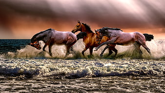Three Horses Galloping Through Ocean Waves at Sunset
