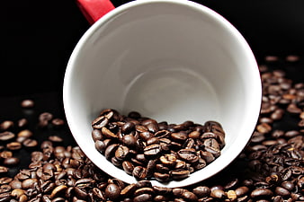 White Coffee Cup Filled With Roasted Coffee Beans On Black Background