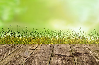 Rustic wooden table with blurred green meadow background