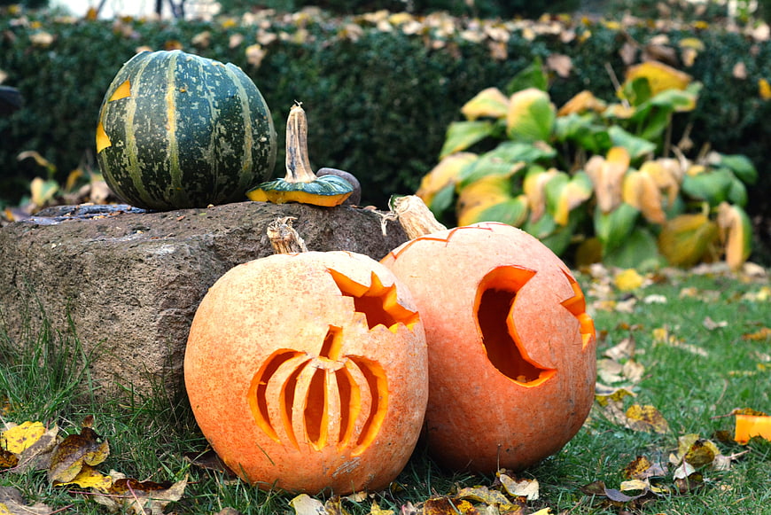Carved Halloween Pumpkins in Autumn Garden