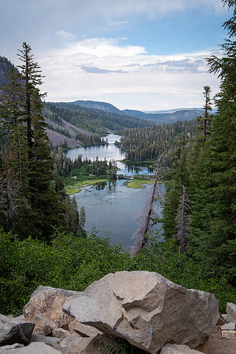 Scenic Mountain Lake View Through Pine Trees
