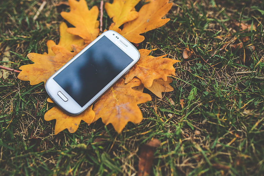 White smartphone on yellow autumn oak leaves in grass