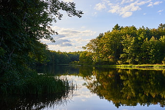 Serene Lake Reflection in Forest with Blue Sky