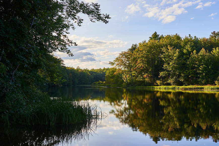 Serene Lake Reflection in Forest with Blue Sky