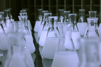 Rows of Erlenmeyer Flasks with White Liquid in Laboratory