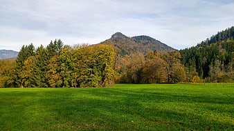 Autumn landscape with green meadow and forested mountain