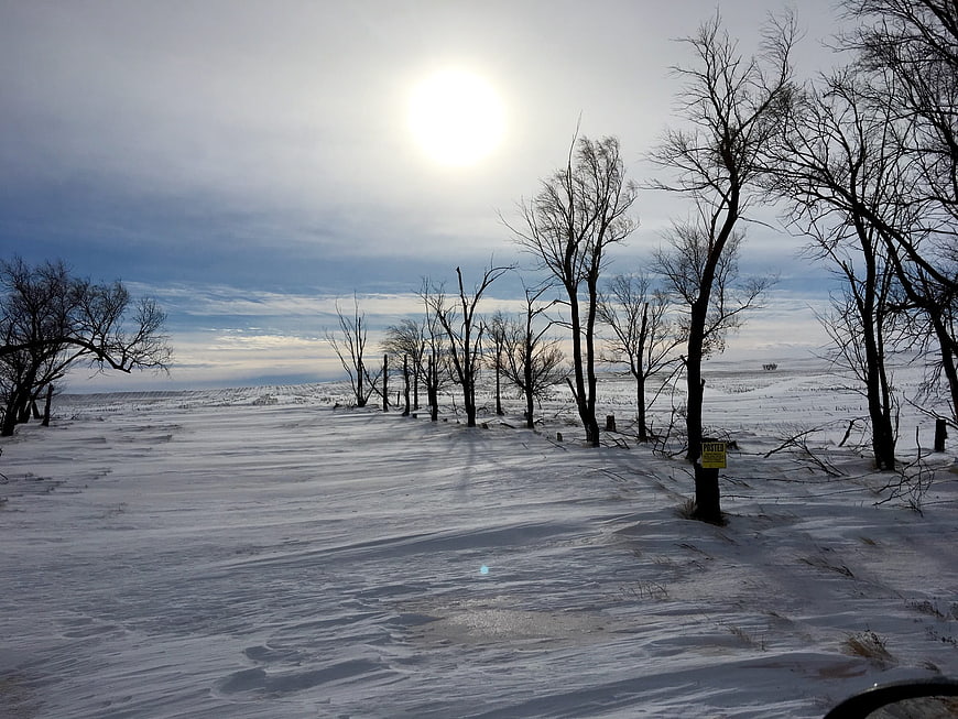 Snowy Winter Landscape with Bare Trees and Bright Sun