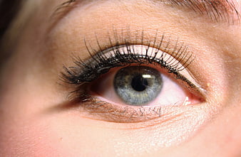 Extreme Close-Up of Blue Eye With Dramatic False Lashes