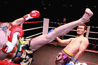 Muay Thai Fighter Executing High Kick in Boxing Ring