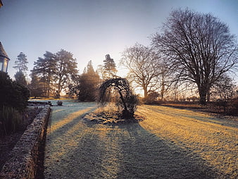 Frosty Winter Garden at Sunrise with Long Shadows