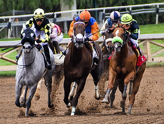 Horse Racing Action Shot With Jockeys And Horses On Dirt Track