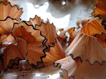 Close-up of orange pencil shavings with black edges